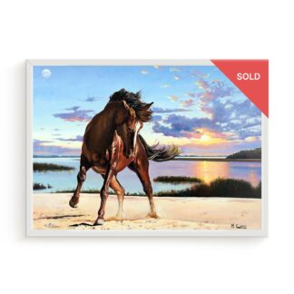 marco creatini cavallo spiaggia dipinto olio vendita quadri online novel academy